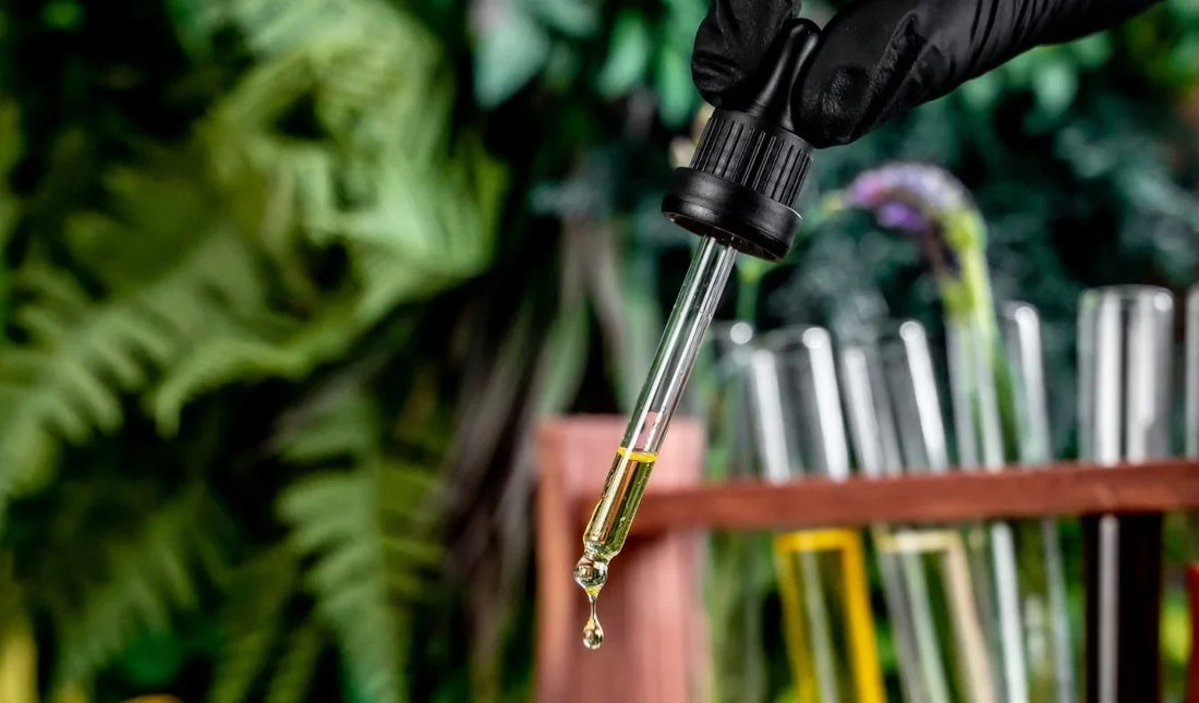 Oltra Balm's Natural Relief A Deep Dive into Ingredients